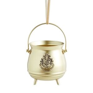ISO Pottery Barn Teen Harry Potter Cauldron Ornament
